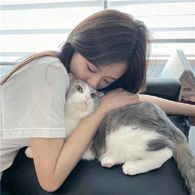 迷拳三十六招